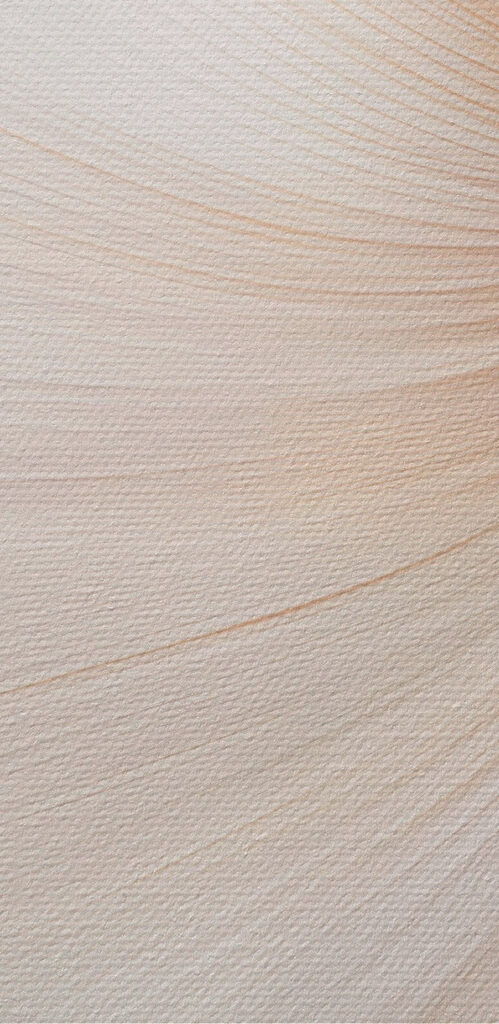 Delicate petals with graceful lines Delicate petals with graceful lines