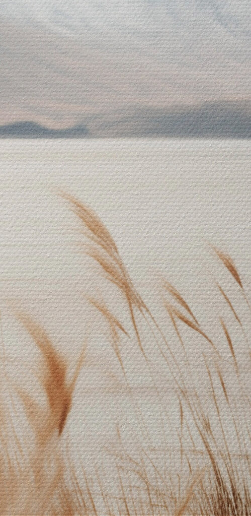 Serene landscape with swaying grass