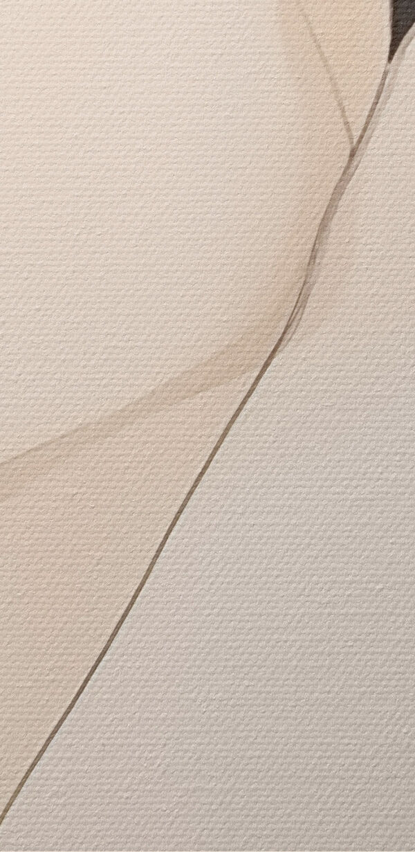 Abstract forms blend in harmony