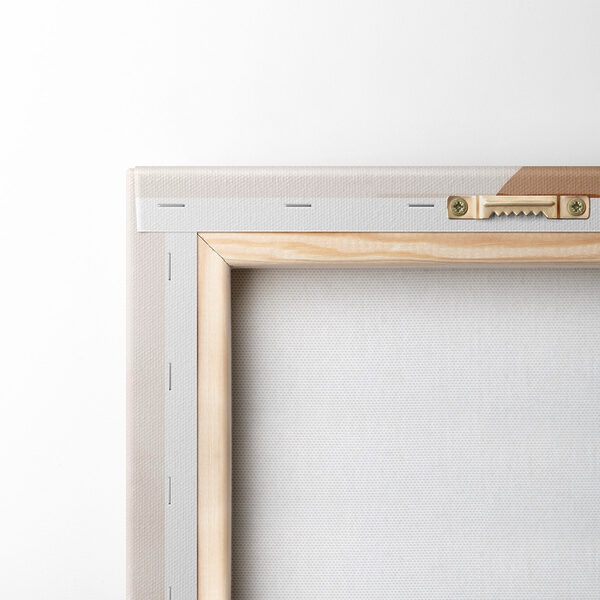 Two images of plants and circles Two images of plants and circles