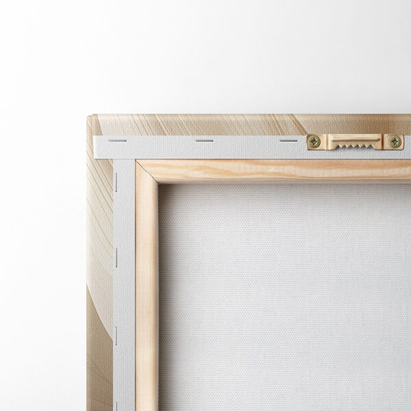 Delicate curves in soft tones Delicate curves in soft tones