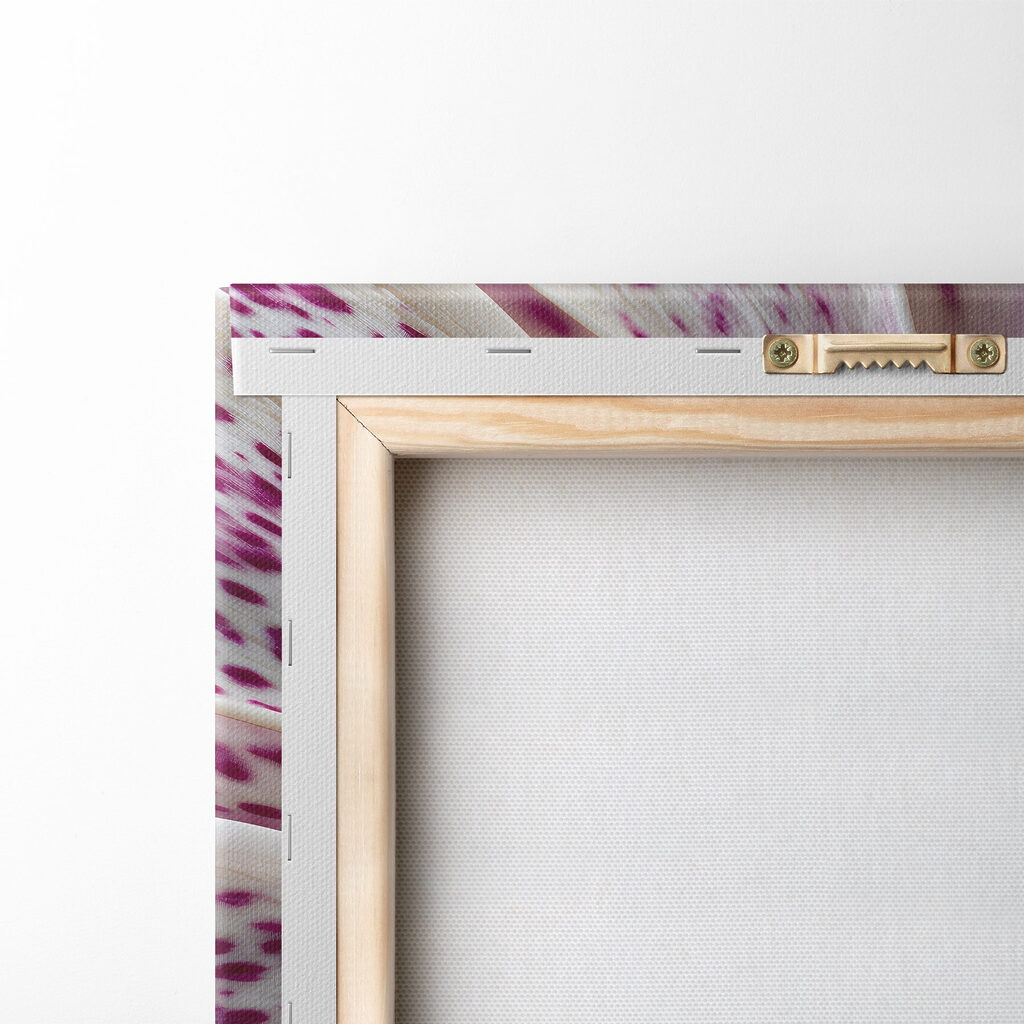 Blooming beauty in vibrant patterns Blooming beauty in vibrant patterns