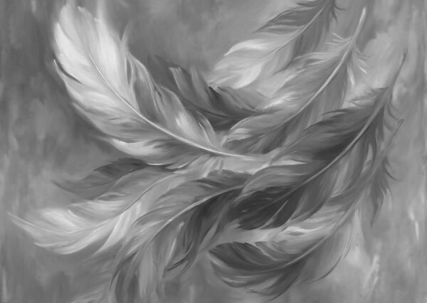Group of feathers in black and white Group of feathers in black and white