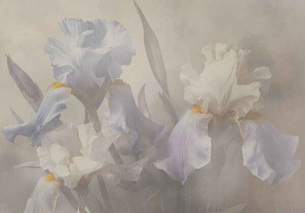 Whispers of floral elegance unfolding Whispers of floral elegance unfolding