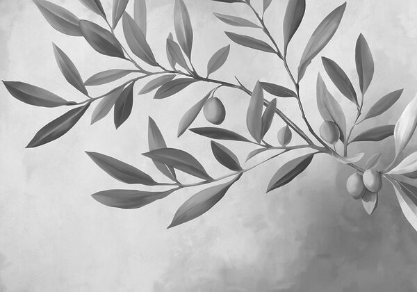 Black and white image of a branch with leaves and fruits Black and white image of a branch with leaves and fruits