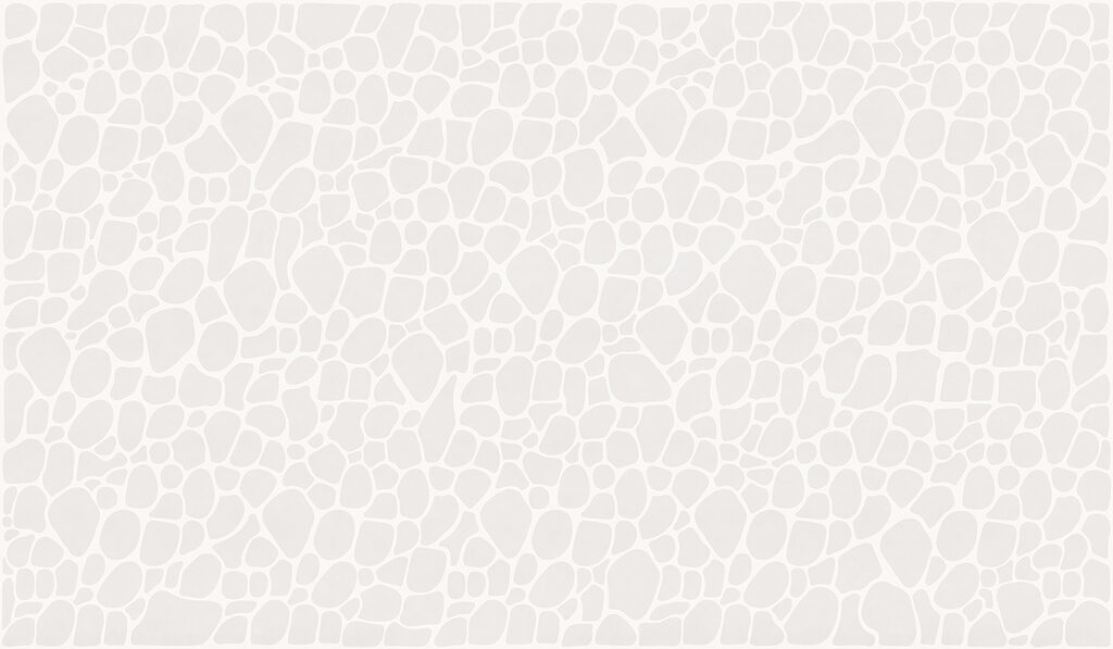 White and gray pattern White and gray pattern