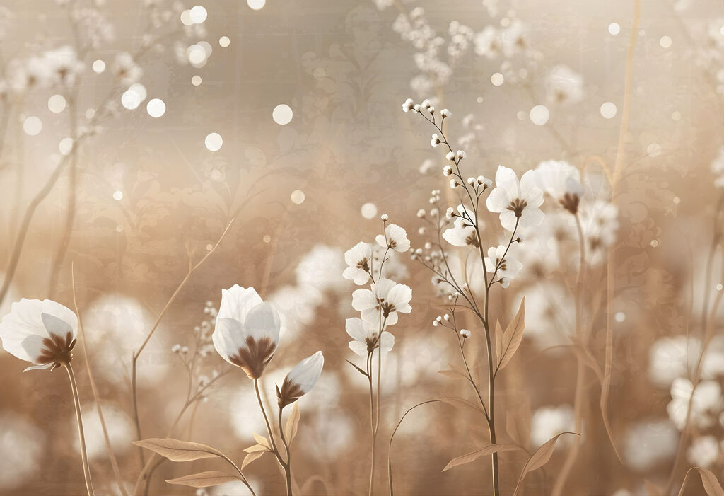Soft petals in gentle sunlight glow Soft petals in gentle sunlight glow