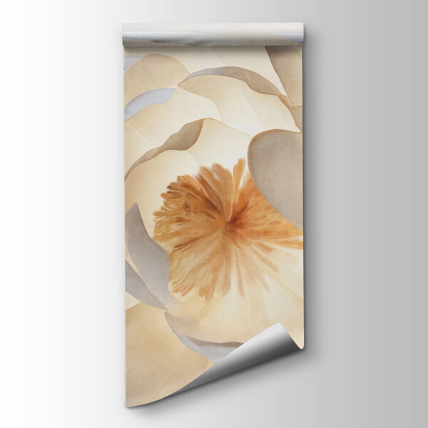 Soft petals illuminated from within Soft petals illuminated from within