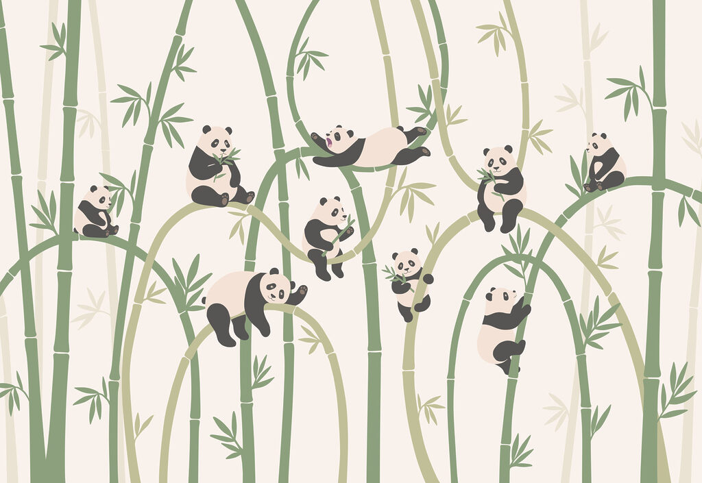 Group of pandas on bamboo Group of pandas on bamboo