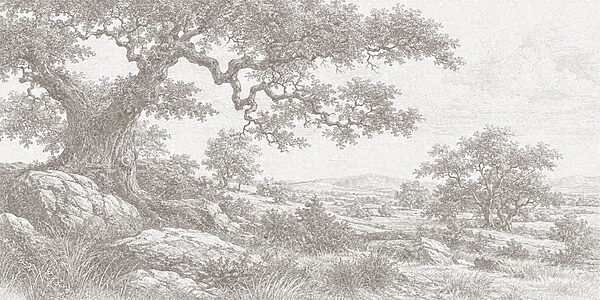 Drawing of a tree and a rocky landscape Drawing of a tree and a rocky landscape