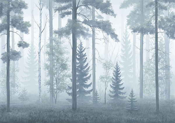 Foggy forest with trees