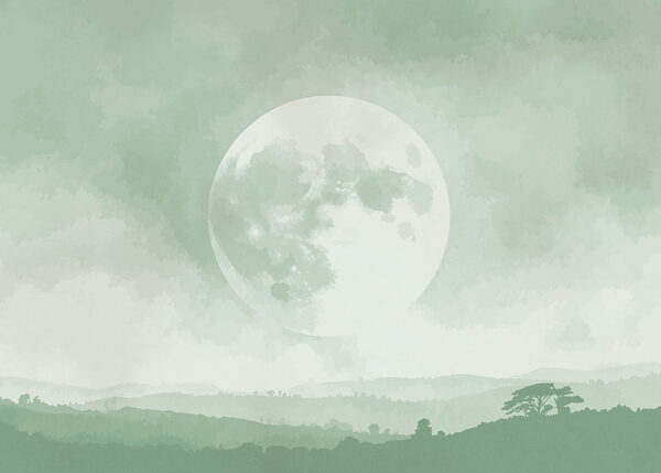 Moon in the sky Moon in the sky