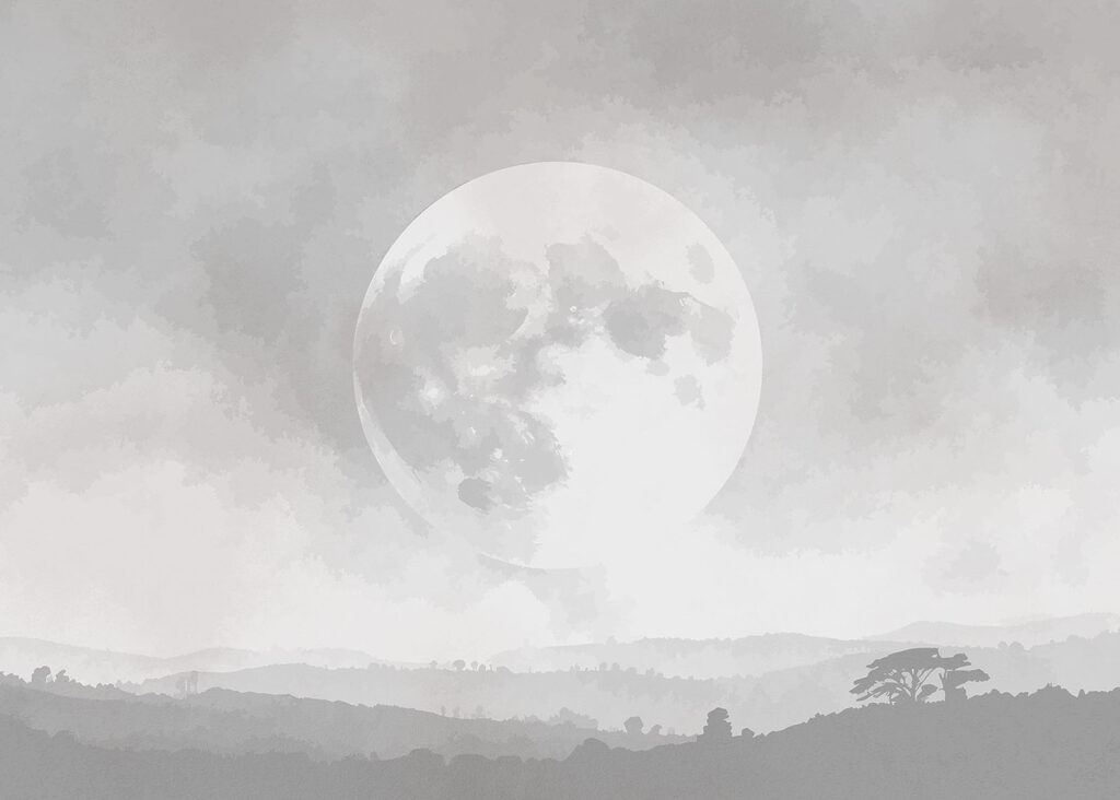 Moon in the sky Moon in the sky
