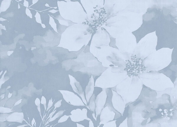 White flowers on a blue background White flowers on a blue background