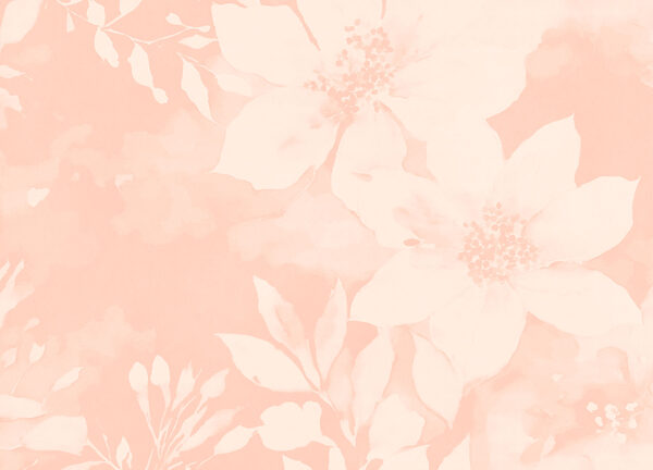 White flowers on a pink background White flowers on a pink background