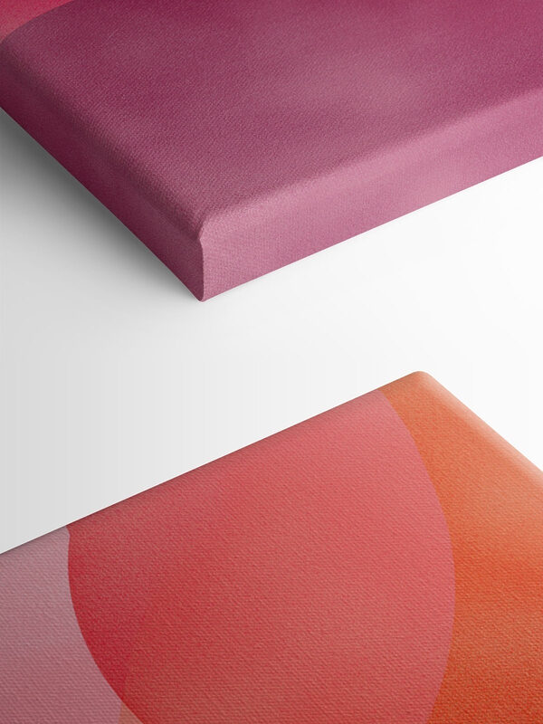 Soft Curves in Warm Hues