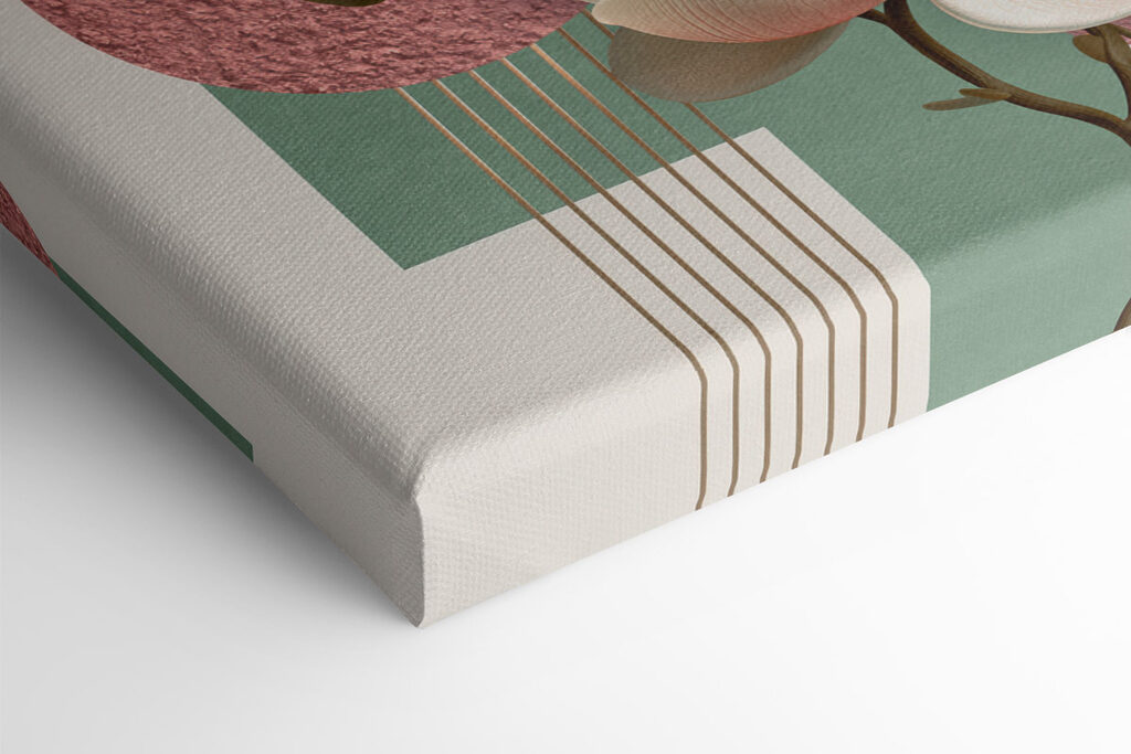 Magnolia blooms in soft pastel tones